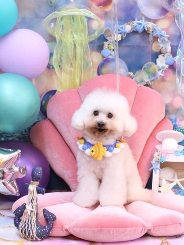 20240806チュッチュくん